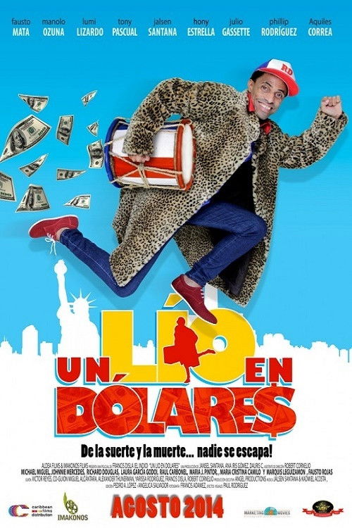 Un lío en dólares (2014) poster