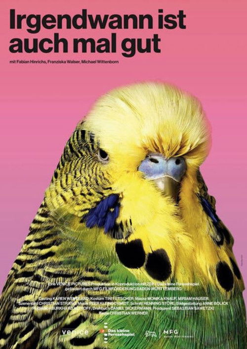 Irgendwann ist auch mal gut (2020) poster