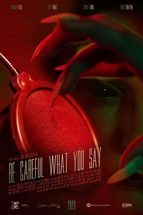 Be Careful What You Say (2020) poster