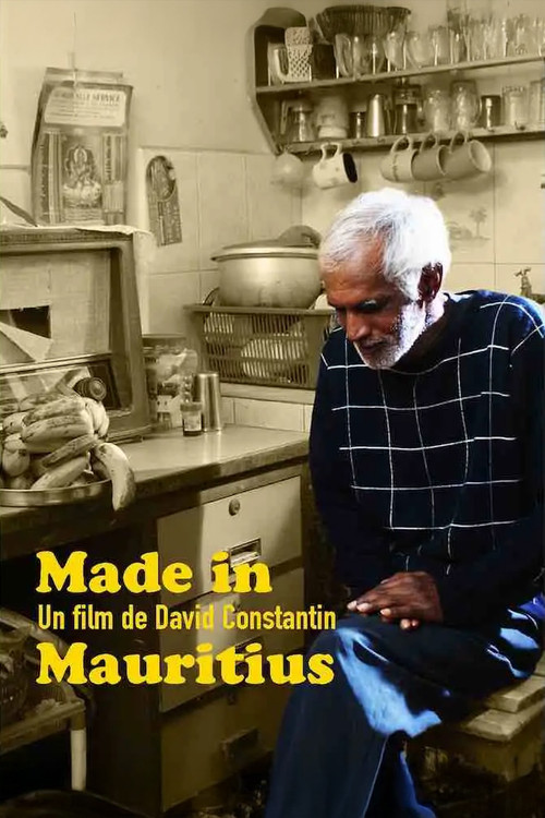 Made in Mauritius (2009) poster