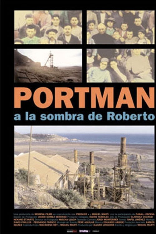 Portman, a la sombra de Roberto (2001) poster