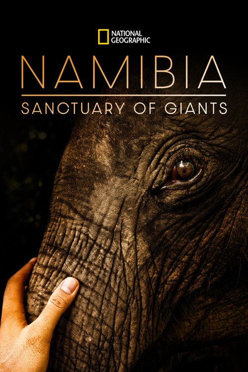 Namibia, Sanctuary of Giants (2017) poster