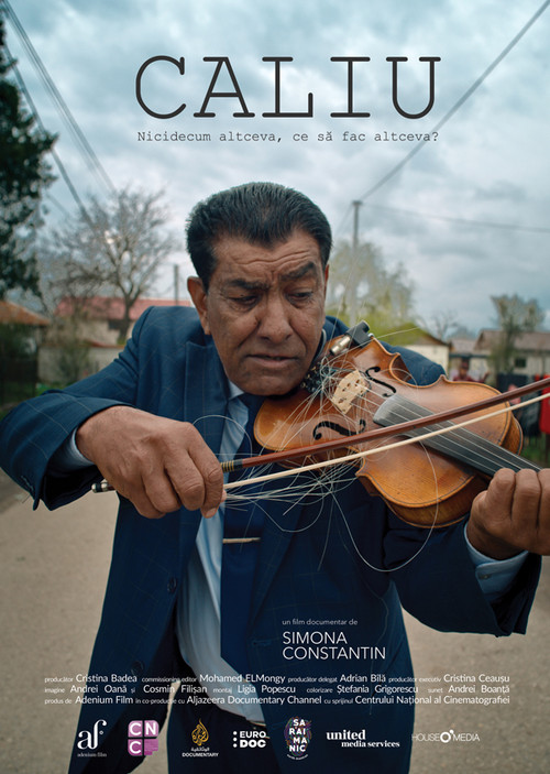 Caliu: Nicidecum altceva, ce să fac altceva? (2025) poster
