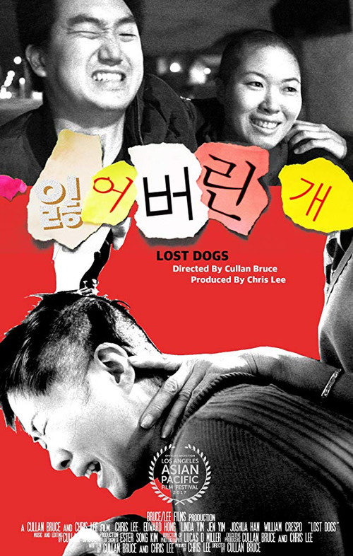 Lost Dogs (2017) poster