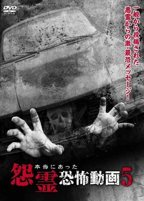 Real Vengeful Ghost Horror Video 5 (2014) poster