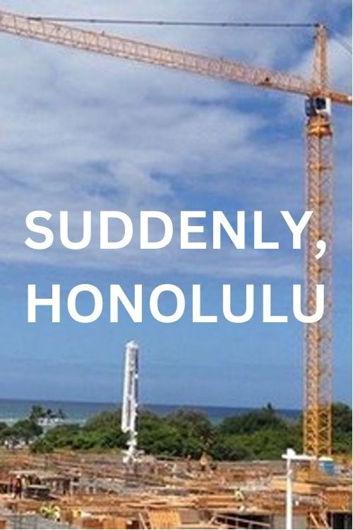 Suddenly, Honolulu (2015) poster