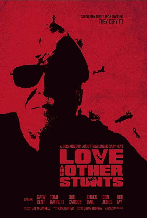 Love and Other Stunts (2018) poster