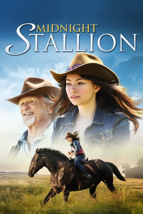 Midnight Stallion (2013) poster