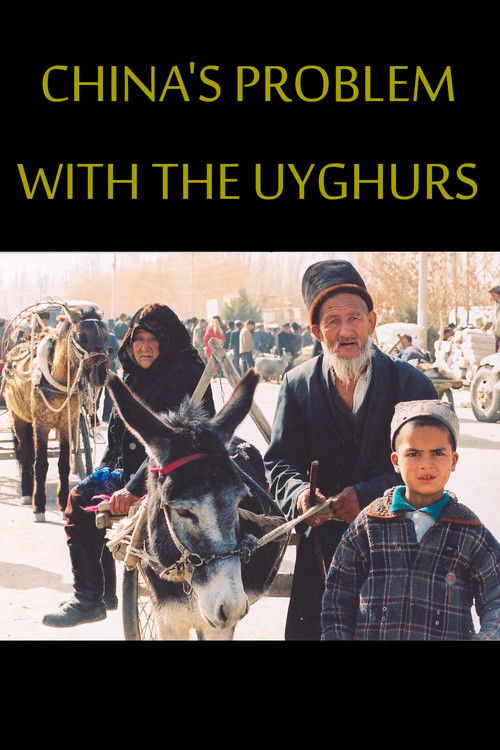 China's problems with the Uyghurs (2014) poster