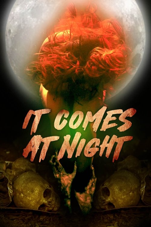 In the Light of the Night (2022) poster