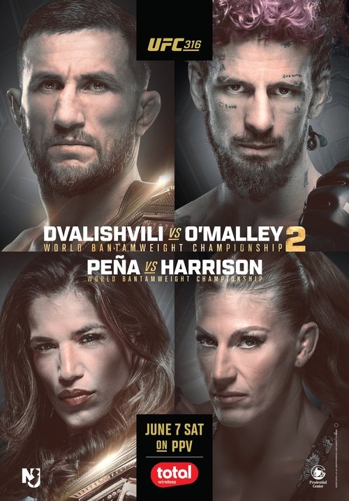 UFC 316: Dvalishvili vs. O'Malley 2 (2025) poster