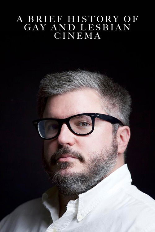 A Brief History of Gay and Lesbian Cinema (2017) poster