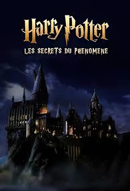 Harry Potter : les secrets du phénomène (2023) poster