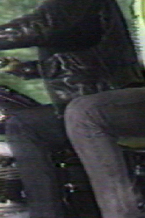 Holy Joe (1986) poster