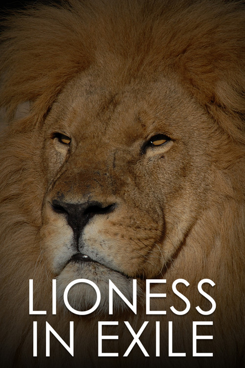 Lioness in Exile (2012) poster