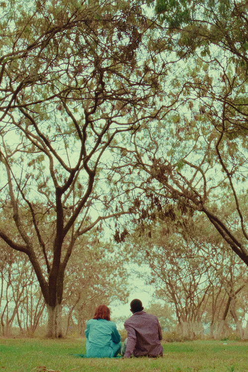 Les Choix (2024) poster