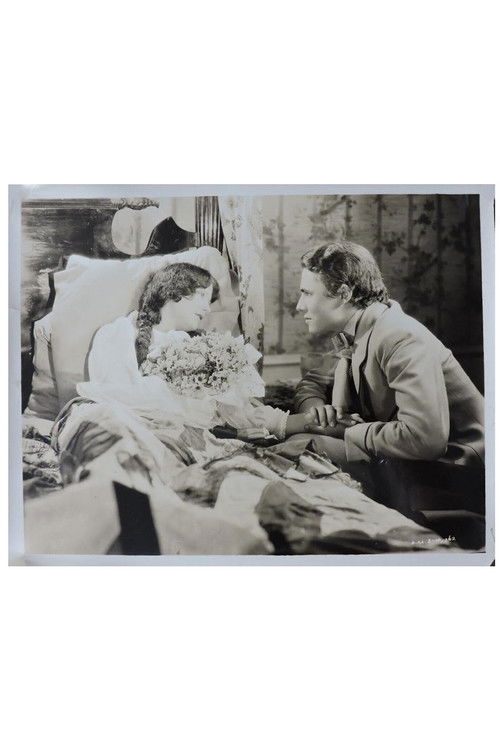 The Wreck of the Hesperus (1927) poster