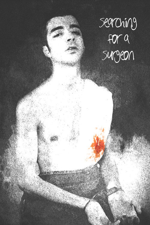 Searching For A Surgeon (2024) poster