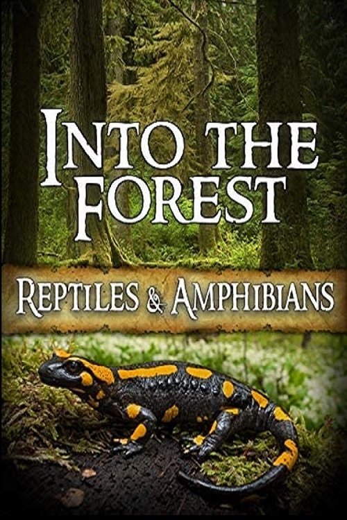 Into the Forest: Reptiles & Amphibians (2019) poster
