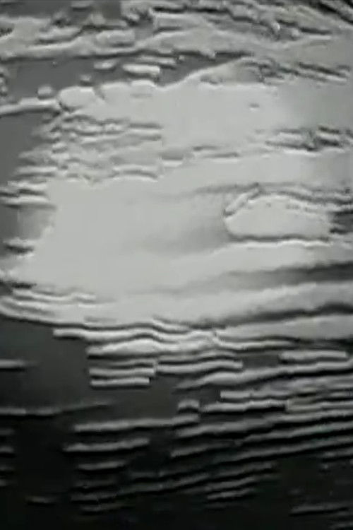 n e s t - smoke signals (2011) poster