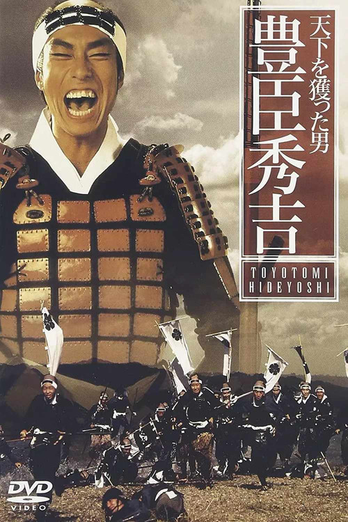 天下を獲った男 豊臣秀吉 (1993) poster