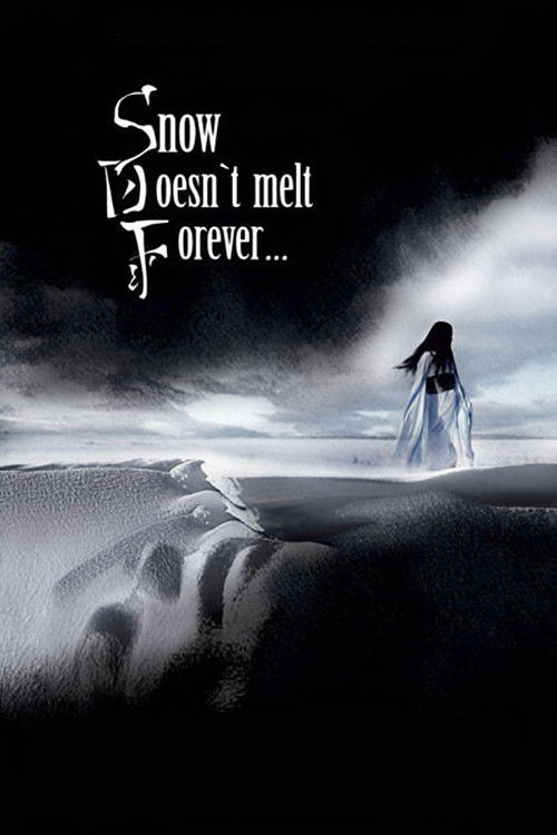 Snow Doesn't Melt Forever (2010) poster