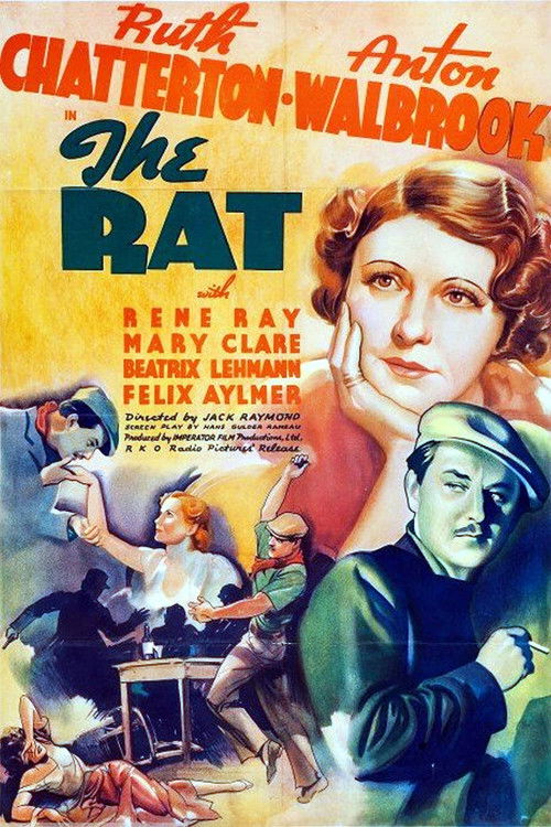 The Rat (1937) poster