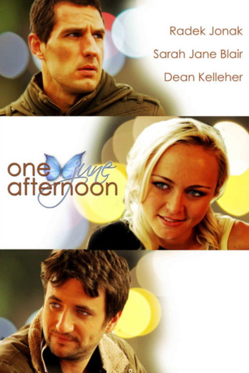 One June Afternoon (2013) poster