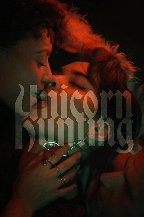 Einhornjagd - Unicorn Hunting poster