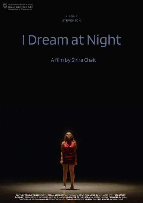 I Dream at Night (2024) poster