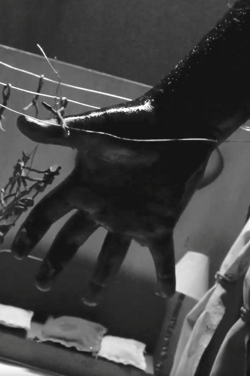 Eternal Return - PINK Edition (2025) poster