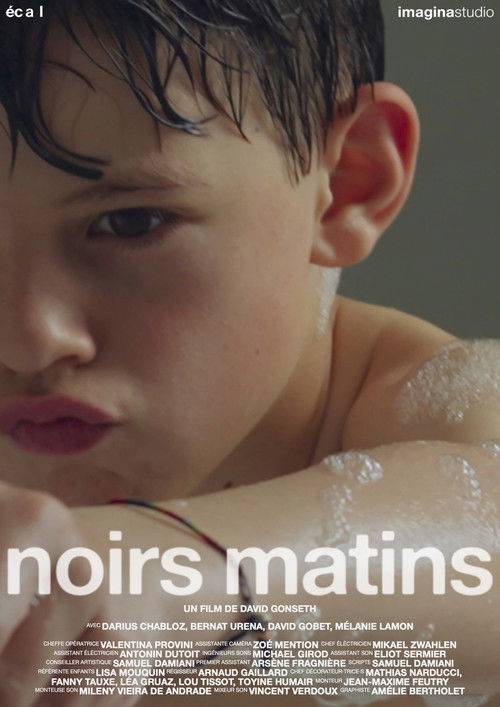 Noirs matins (2025) poster