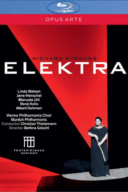Elektra (2010) poster