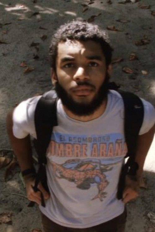 Meu Amigo Mineiro (2012) poster