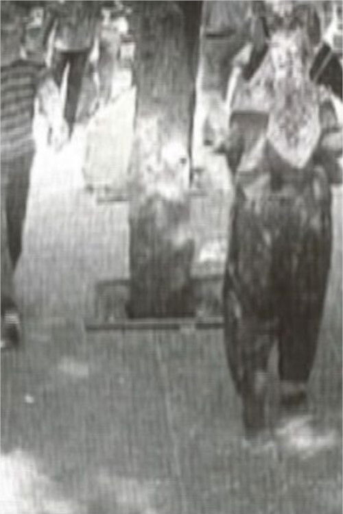 observation nest (2008) poster