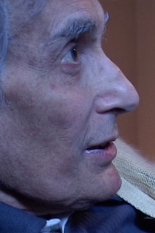 In viaggio verso Alberto Grifi (2006) poster