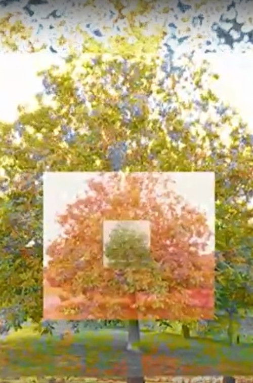 Le néflier (2014) poster