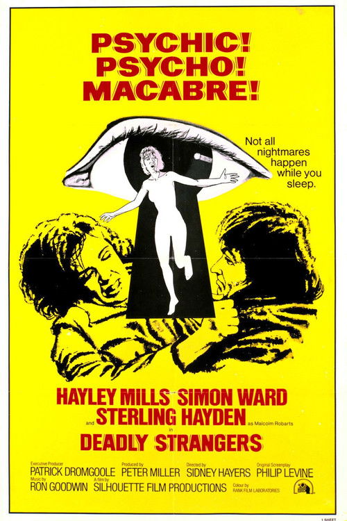 Deadly Strangers (1975) poster