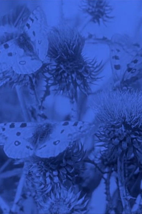 The Life of the Butterfly (1911) poster