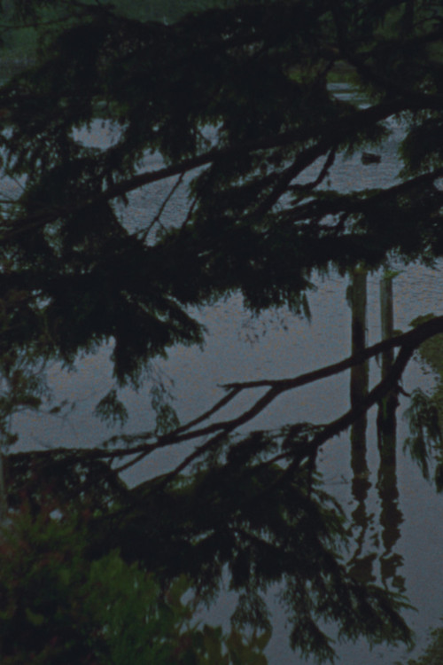 Saisonnier (2016) poster