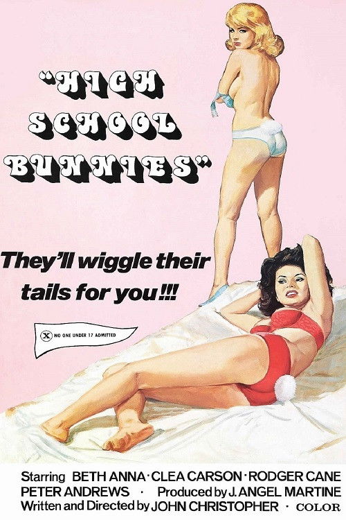 High School Bunnies (1977) poster