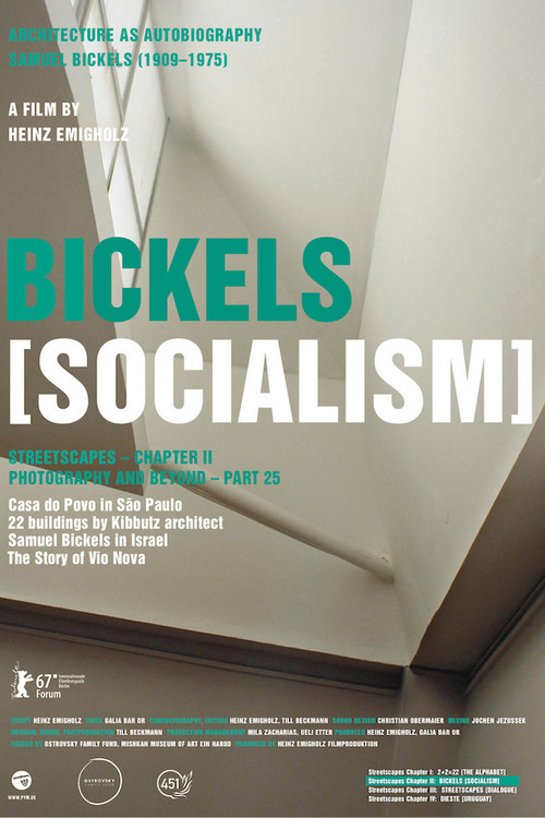 Bickels [Socialism] (2016) poster