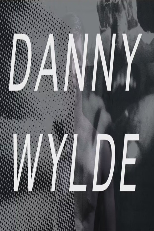 Danny Wylde (2015) poster