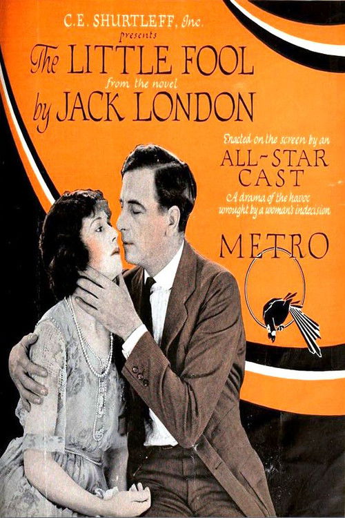 The Little Fool (1921) poster