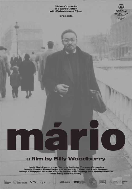 Mário (2024) poster