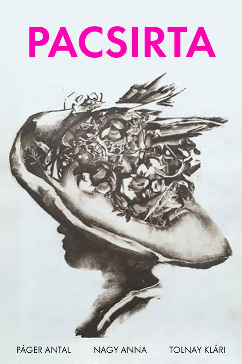 Skylark (1965) poster