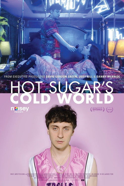 Hot Sugar's Cold World (2015) poster