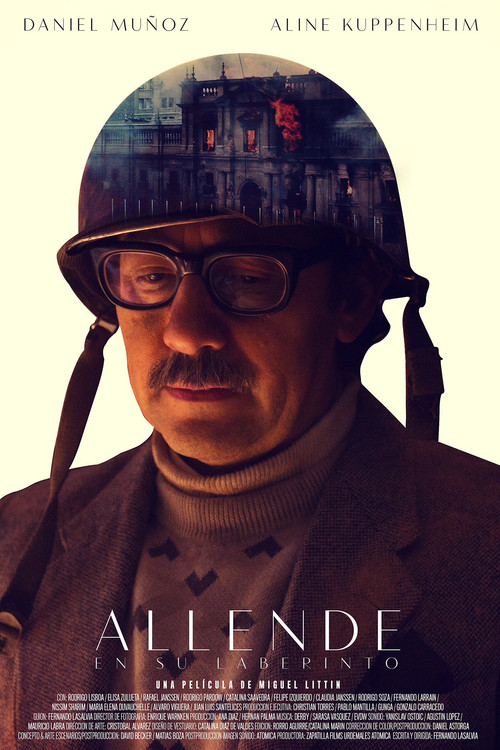 Allende in His Maze (2014) poster