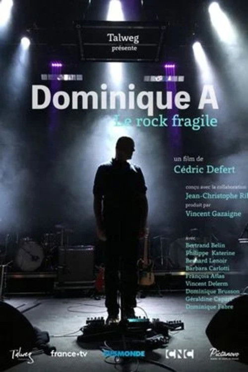 Dominique A, le rock fragile (2019) poster