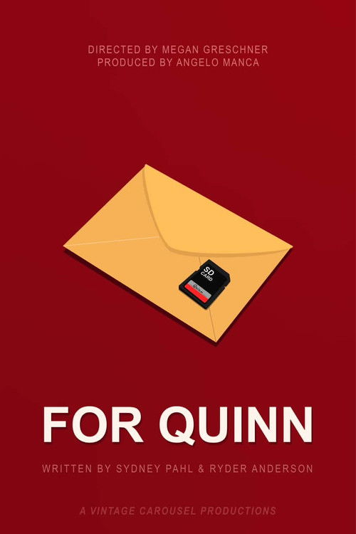 For Quinn (2025) poster